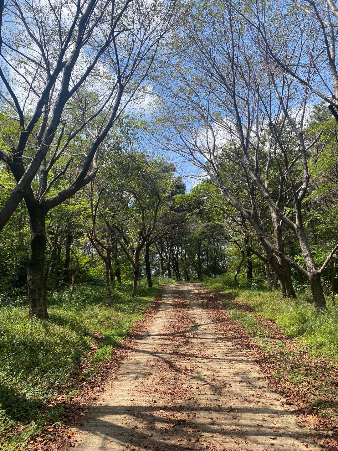 오르막 길