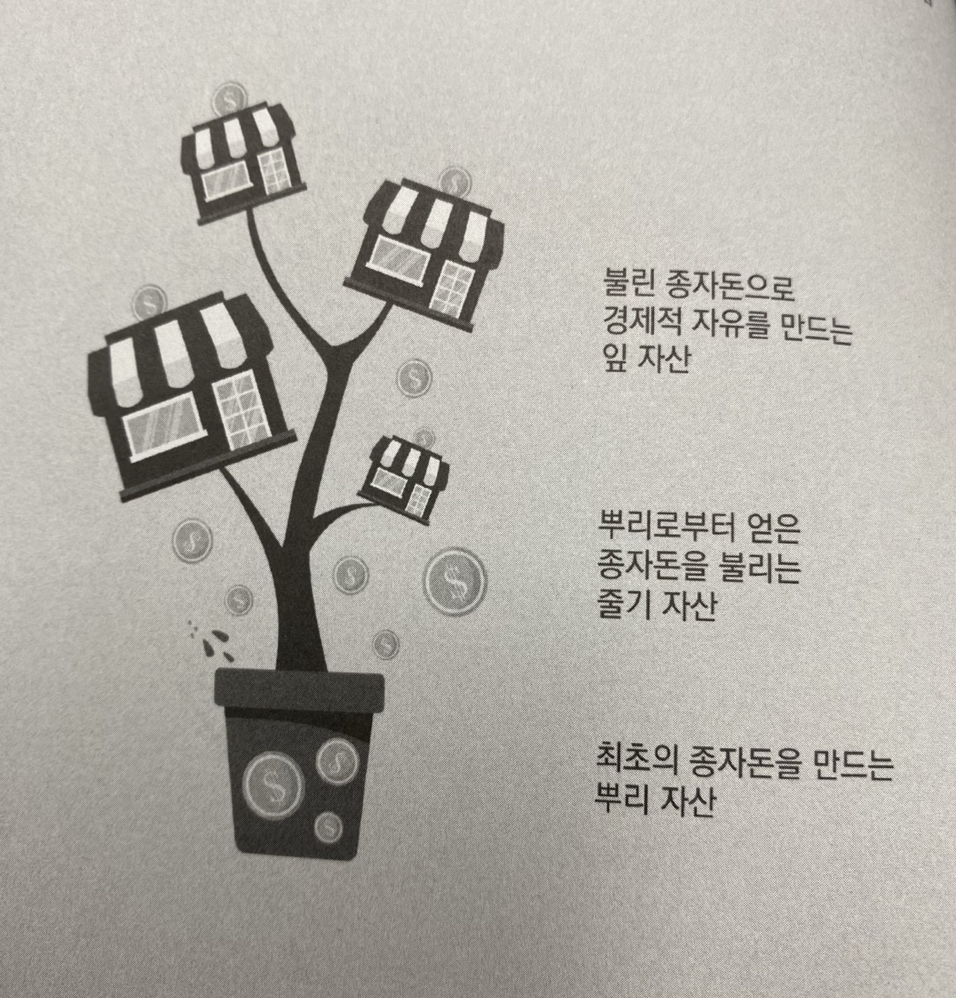 뿌리-줄기-잎으로 완성하는 부동산 투자 전략