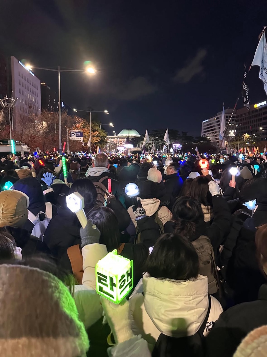 윤석렬 탄행 집회 야광봉