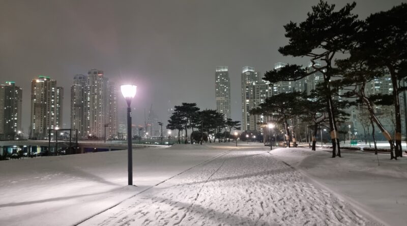 눈 내리는 밤