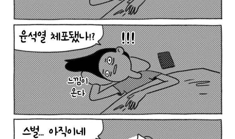 내란성 불면증