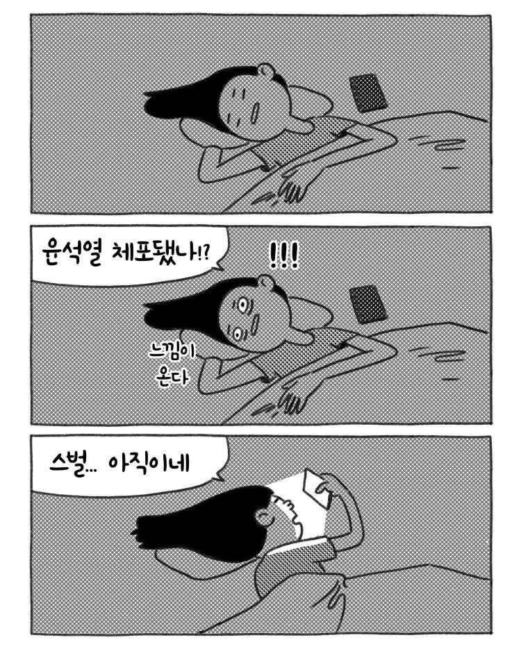 내란성 불면증