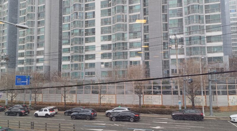 부산에 눈이 내리는 날