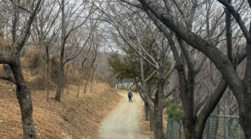 혼자가는 인생