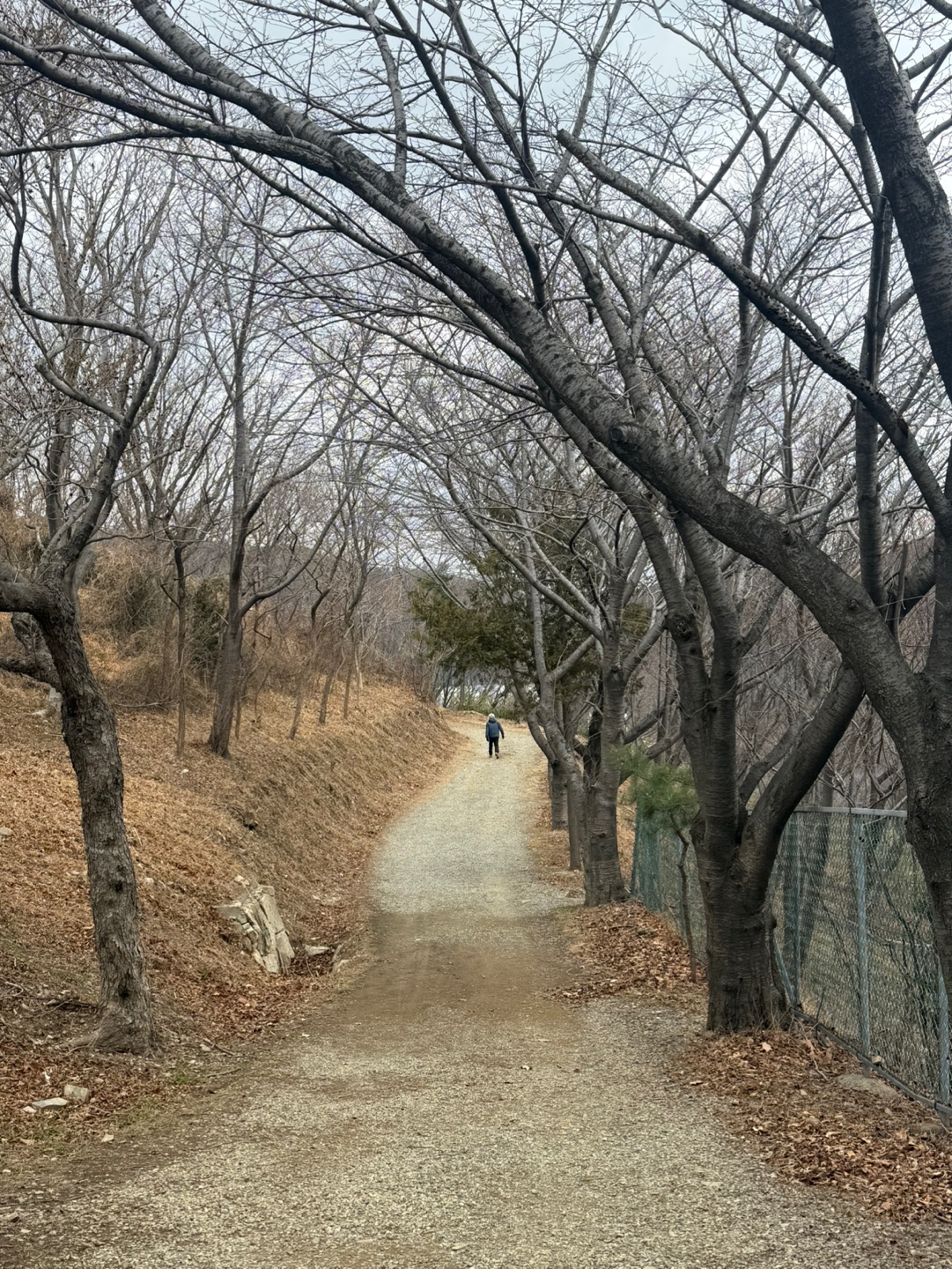 직장인 50대의 슬기로운 혼밥 생활