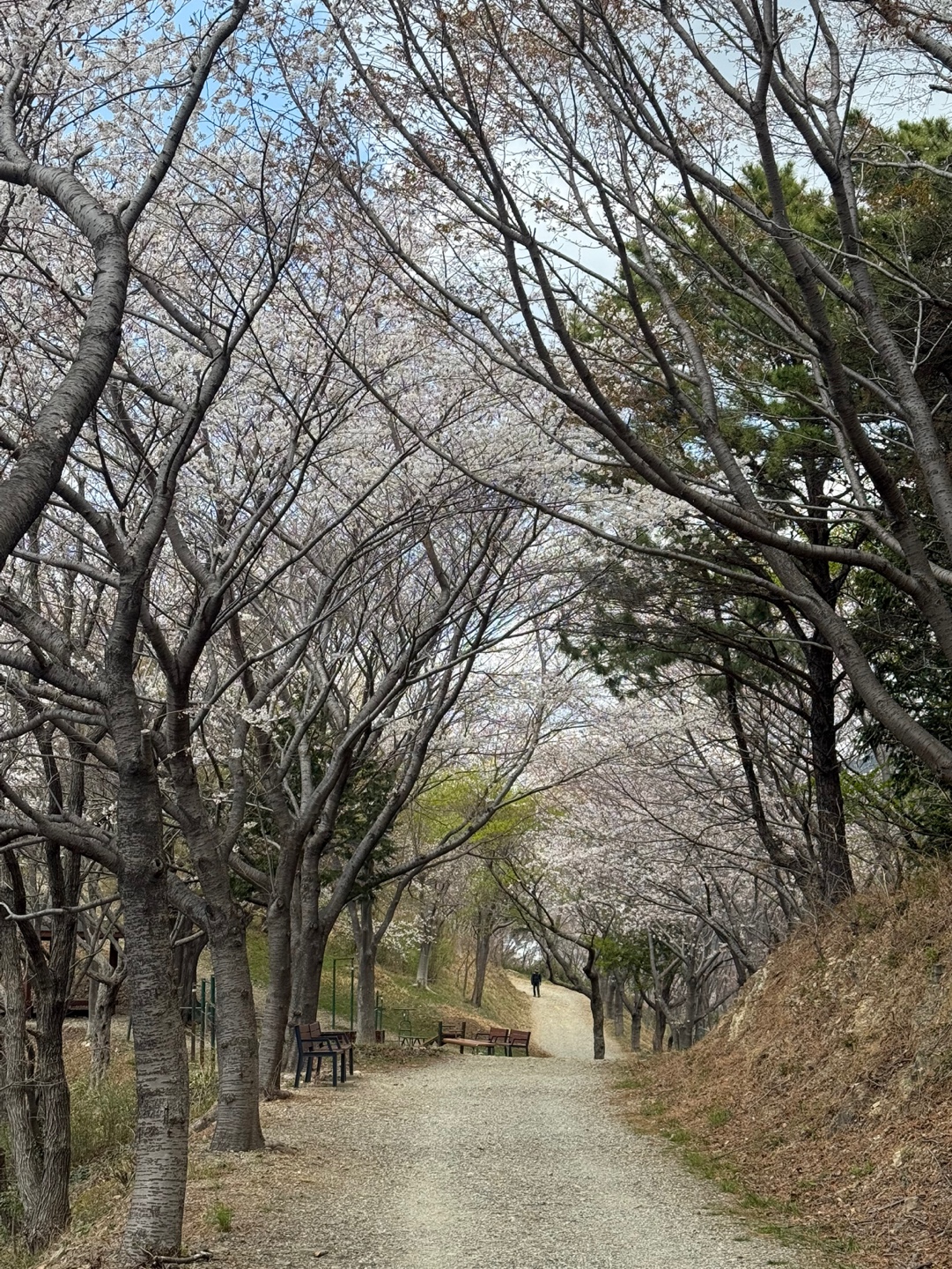 봄이 오는 길목에서