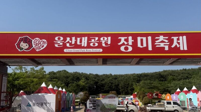 봄의 여왕과 함께한 울산대공원 장미축제