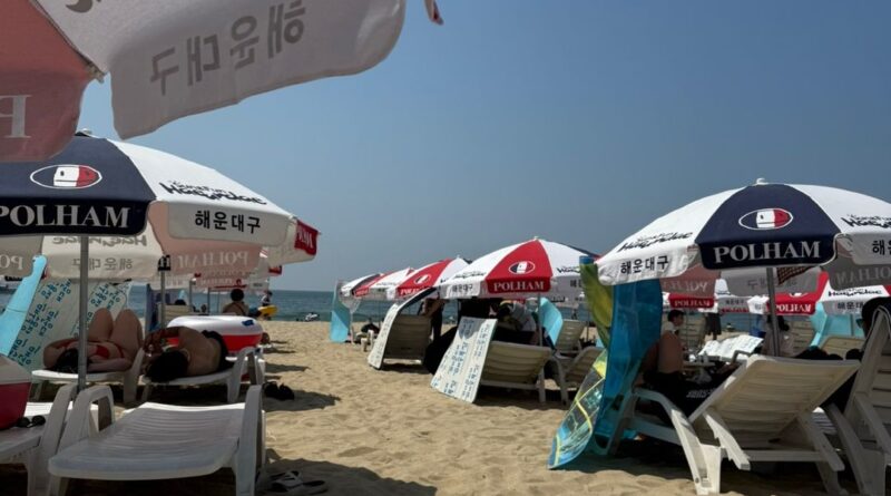 해외에서 유명한 관광지로 인기 있는 해운대비치 파라솔